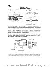 INTEL387 DX datasheet pdf Intel