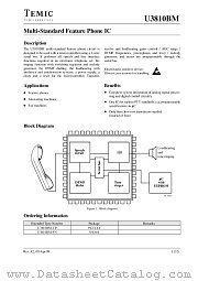 U3810BM datasheet pdf TEMIC