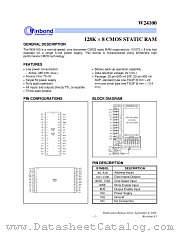 W24100,S,T datasheet pdf Winbond Electronics