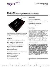 CW22P911 datasheet pdf Agere Systems