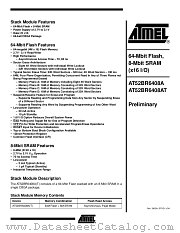 AT52BR6408A datasheet pdf Atmel