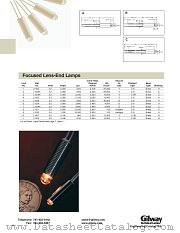 L1007 datasheet pdf Gilway Technical Lamp