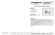 G4176-01 datasheet pdf Hamamatsu Corporation