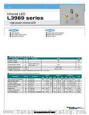 L3989-02 datasheet pdf Hamamatsu Corporation