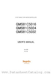 GM281C5032 datasheet pdf Hynix Semiconductor
