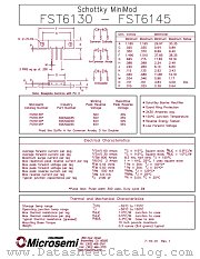 FST6140 datasheet pdf Microsemi