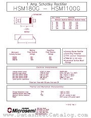 HSM1100G datasheet pdf Microsemi