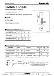 PNZ123S datasheet pdf Panasonic