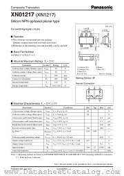 XN1217 datasheet pdf Panasonic