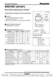 XN01507 datasheet pdf Panasonic