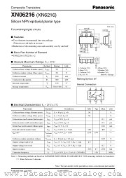 XN06216 datasheet pdf Panasonic