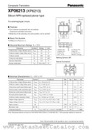 XP6213 datasheet pdf Panasonic