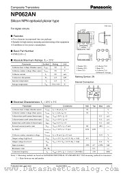 NP062AN datasheet pdf Panasonic