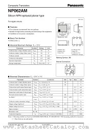 NP062AM datasheet pdf Panasonic