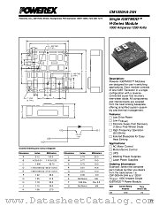 CM1000HA-24H datasheet pdf Powerex Power Semiconductors