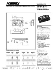 CM100DU-12H datasheet pdf Powerex Power Semiconductors