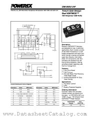 CM100DU-24F datasheet pdf Powerex Power Semiconductors