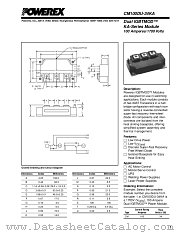 CM100DU-34KA datasheet pdf Powerex Power Semiconductors