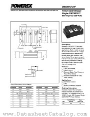 CM600HU-24F datasheet pdf Powerex Power Semiconductors