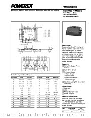 PM100RSD060 datasheet pdf Powerex Power Semiconductors