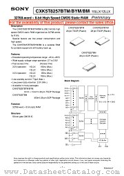 CXK5T8257BTM/BYM/BM-10LLX datasheet pdf SONY