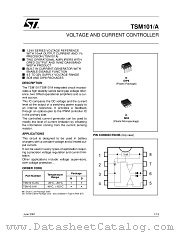 TSM101AIDT datasheet pdf ST Microelectronics