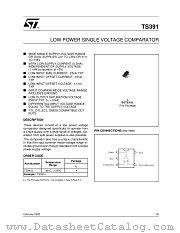 TS391ILT datasheet pdf ST Microelectronics