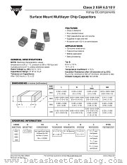 CLASS 2 X5R 6.3/10 V datasheet pdf Vishay