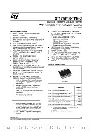 GST/SC19WP18AW40 datasheet pdf ST Microelectronics