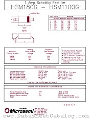 HSM1100 datasheet pdf Microsemi