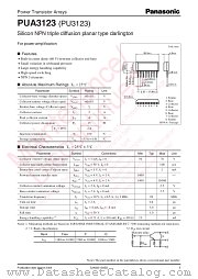 PUA3123 datasheet pdf Panasonic