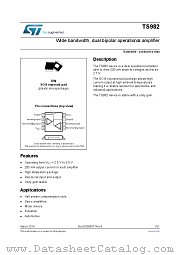 TS982IYDWT datasheet pdf ST Microelectronics