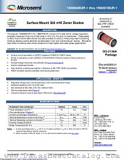 1N6027UR-1 datasheet pdf Microsemi