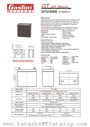 GT12-55AG datasheet pdf etc